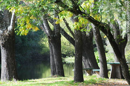 Parque - Departamento de Colonia - URUGUAY. Foto No. 29660
