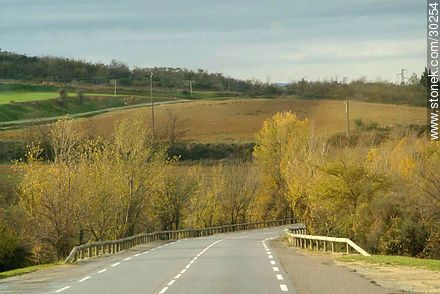 Route de Limoux - Región de Languedoc-Rousillon - FRANCIA. Foto No. 30254