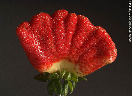 Strawberry - Flora - MORE IMAGES. Photo #31647