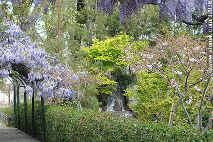 Jardín Japonés en Primavera - Departamento de Montevideo - URUGUAY. Foto No. 32836