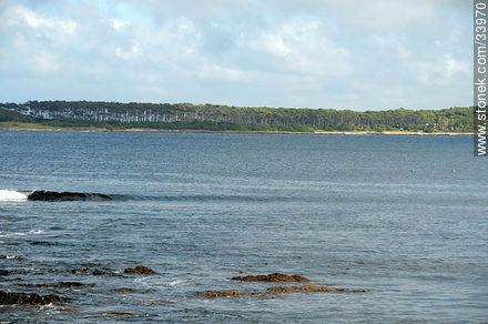 Isla Gorriti - Punta del Este y balnearios cercanos - URUGUAY. Foto No. 33970
