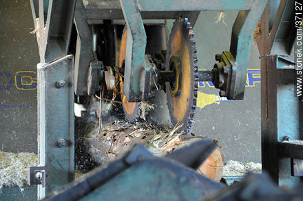 Industria maderera. - Departamento de Paysandú - URUGUAY. Foto No. 37127
