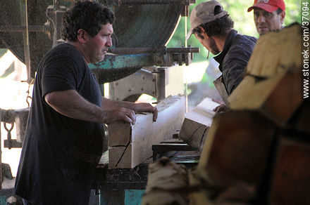 Industria maderera. Sección de troncos. - Departamento de Paysandú - URUGUAY. Foto No. 37094