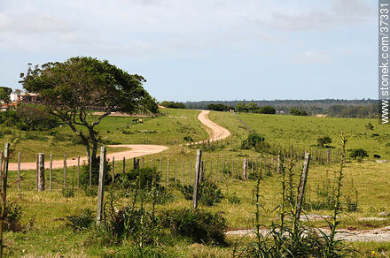 Santa Teresa National Park. - Department of Rocha - URUGUAY. Photo #37331