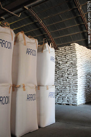 Rice production deposit - Department of Rocha - URUGUAY. Photo #37521