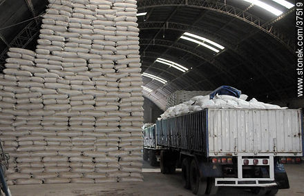 Rice production deposit - Department of Rocha - URUGUAY. Photo #37519