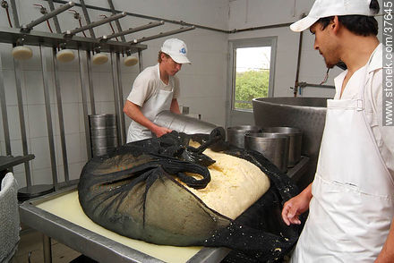 Pequeña industria de fabricación de quesos - Departamento de Colonia - URUGUAY. Foto No. 37645