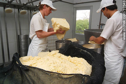 Family cheese factory - Department of Colonia - URUGUAY. Photo #37643
