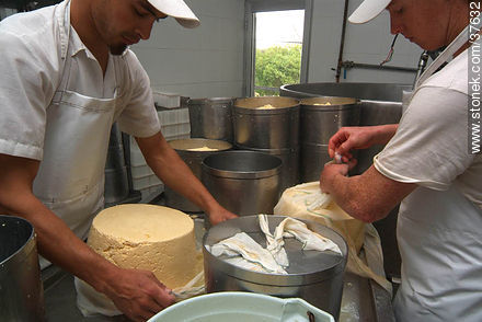 Family cheese factory - Department of Colonia - URUGUAY. Photo #37632