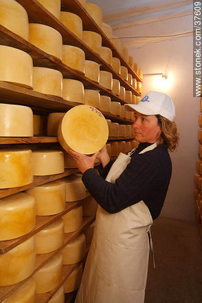 Estantes de maduración del queso - Departamento de Colonia - URUGUAY. Foto No. 37609
