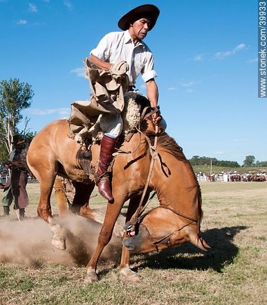 Riding a wild horse - Tacuarembo - URUGUAY. Photo #39933