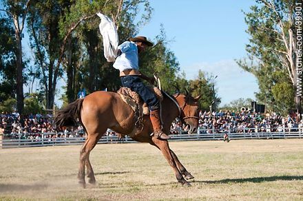 Taming a horse - Tacuarembo - URUGUAY. Photo #39901