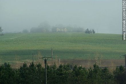Winter fog in the French countryside. - Region of Midi-Pyrénées - FRANCE. Photo #43250