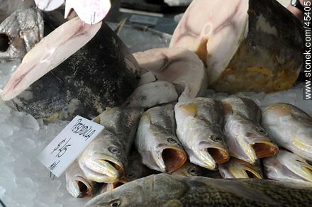 Fresh whiting - Department of Montevideo - URUGUAY. Photo #45405