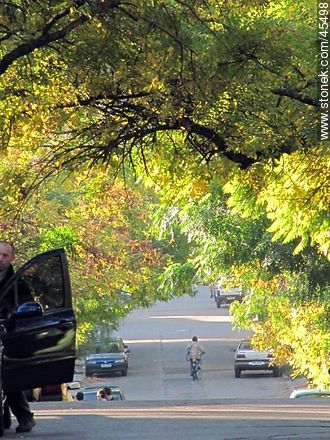 Autumn evening in Buceo - Department of Montevideo - URUGUAY. Photo #45498