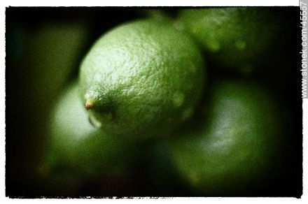 Limones verdes - Flora - IMÁGENES VARIAS. Foto No. 45557