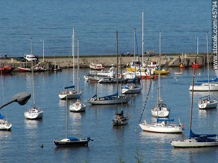 Puerto Buceo - Department of Montevideo - URUGUAY. Photo #45794