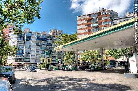 Gas station at Santiago Vazquez Street - Department of Montevideo - URUGUAY. Photo #53901