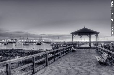 Arbor and walk to enjoy the view of the port of Punta del Este - Punta del Este and its near resorts - URUGUAY. Photo #53962