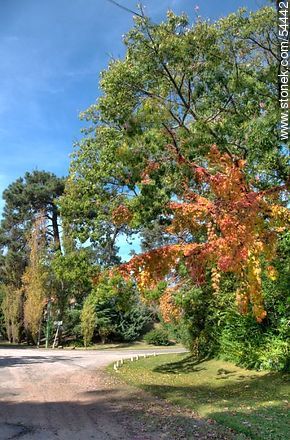 Otoño en Punta del Este - Punta del Este y balnearios cercanos - URUGUAY. Foto No. 54442