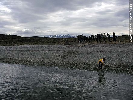 Beagle Channel coast -  - ARGENTINA. Photo #56868