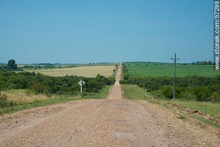 Road to Route 3 from the Meseta de Artigas. - Department of Paysandú - URUGUAY. Photo #57299