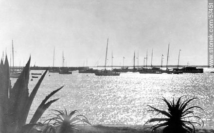 Sailboats - Punta del Este and its near resorts - URUGUAY. Photo #57451