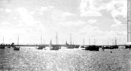 Veleros en el puerto - Punta del Este y balnearios cercanos - URUGUAY. Foto No. 57447