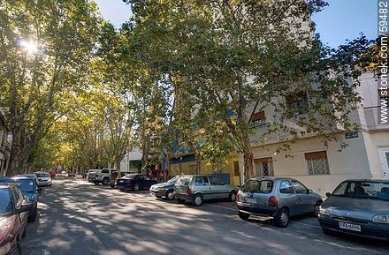 Pereira St. between Guayaquí and Gestido streets - Department of Montevideo - URUGUAY. Photo #59482
