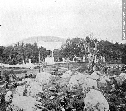 Punta Ballena, 1909 -  - URUGUAY. Foto No. 59570