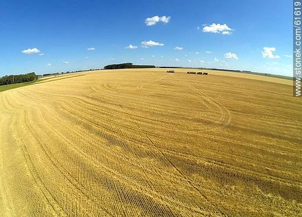 Aerial view of harvested wheat field - Durazno - URUGUAY. Photo #61619