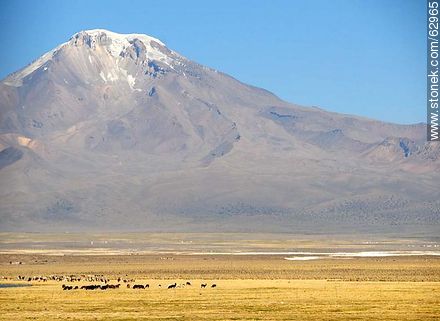 Mountains in the Sajama Park - Bolivia - Others in SOUTH AMERICA. Photo #62965