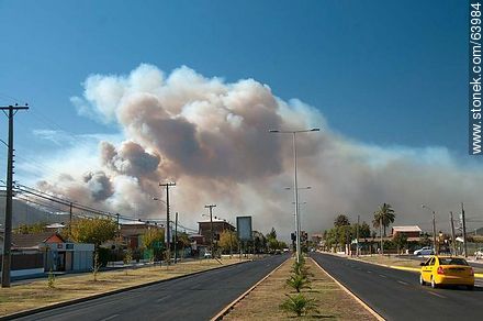 Fire in the hills of Quillota - Chile - Others in SOUTH AMERICA. Photo #63984