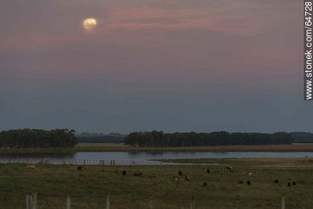 Luna llena en el campo al atardecer -  - URUGUAY. Foto No. 64728