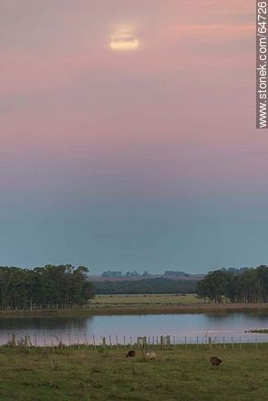 Full moon in the field at sunset - Tacuarembo - URUGUAY. Photo #64726