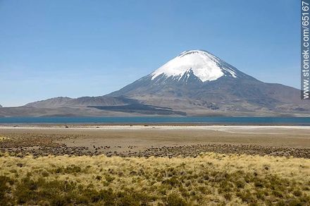 Lago Chungará. Volcán Parinacota - Chile - Otros AMÉRICA del SUR. Foto No. 65167
