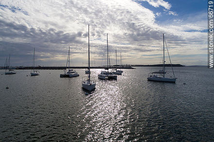 Sailboats moored in buoys - Punta del Este and its near resorts - URUGUAY. Photo #66719