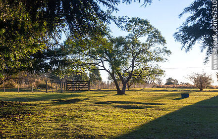 Atardecer en el parque de la OSE en Minas - Departamento de Lavalleja - URUGUAY. Foto No. 67510