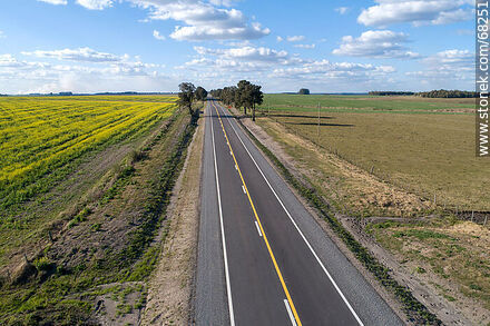 Aerial view of route 14. Yellow canola field on the left - Flores - URUGUAY. Photo #68251
