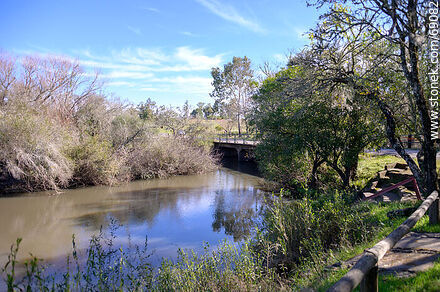 Northwest side of the creek - Durazno - URUGUAY. Photo #69082