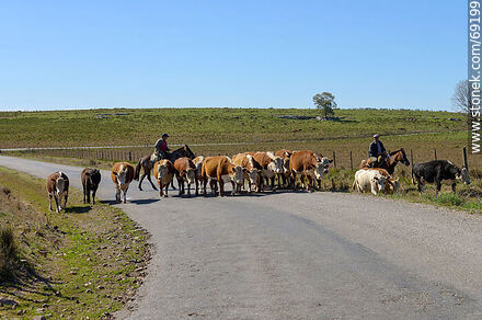 Arriando ganado vacuno - Departamento de Durazno - URUGUAY. Foto No. 69199