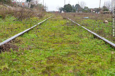 Disused train tracks - Department of Florida - URUGUAY. Photo #69802