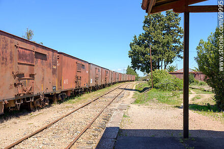 Estación de trenes. Línea de vagones de carga frente al andén - Departamento de Florida - URUGUAY. Foto No. 69995