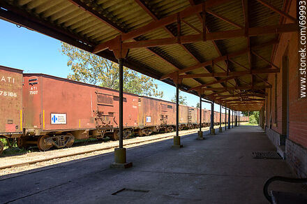 Estación de trenes. Línea de vagones de carga frente al andén - Departamento de Florida - URUGUAY. Foto No. 69993