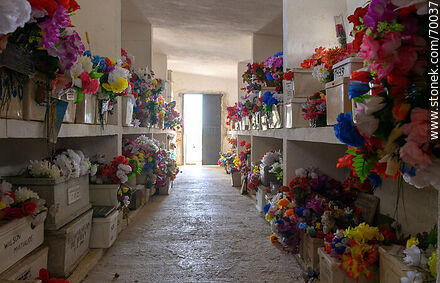 Cemetery. Place where the urns are stored - Department of Treinta y Tres - URUGUAY. Photo #70037