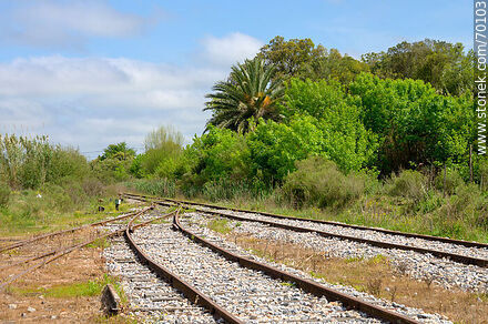 Track Splice - Department of Treinta y Tres - URUGUAY. Photo #70103