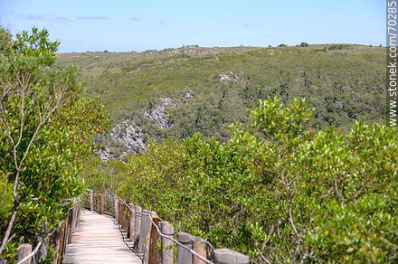 Path to the viewpoint - Department of Treinta y Tres - URUGUAY. Photo #70285