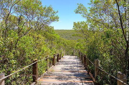 Path to the viewpoint - Department of Treinta y Tres - URUGUAY. Photo #70284