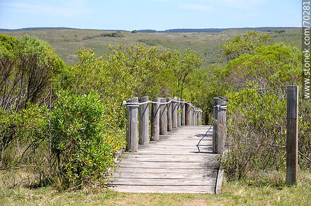 Path to the viewpoint - Department of Treinta y Tres - URUGUAY. Photo #70281