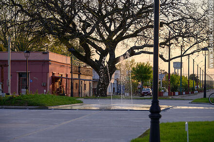 Plaza principal - Departamento de Lavalleja - URUGUAY. Foto No. 70368